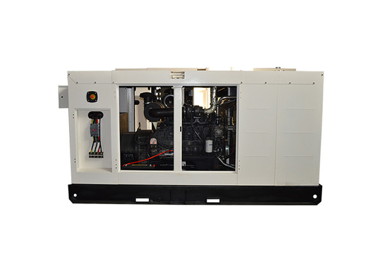 FPT FAIT FPT 디젤 엔진 발전기, 강화되는 닫집 유형 Dg 고정되는 200KW 250KVA