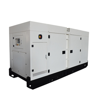 300 KVA 6 실린더 힘 FPT 엔진 발전기 지원 고객 주문화