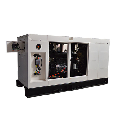 300 KVA 6 실린더 힘 FPT 엔진 발전기 지원 고객 주문화
