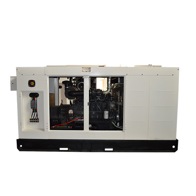 300 KVA 6 실린더 힘 FPT 엔진 발전기 지원 고객 주문화